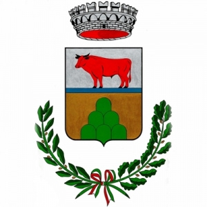 Comune di Ruinas