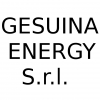 Gesuina energy